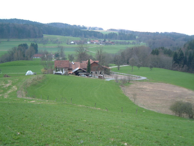 Steinland, 630 M.&uuml;.M