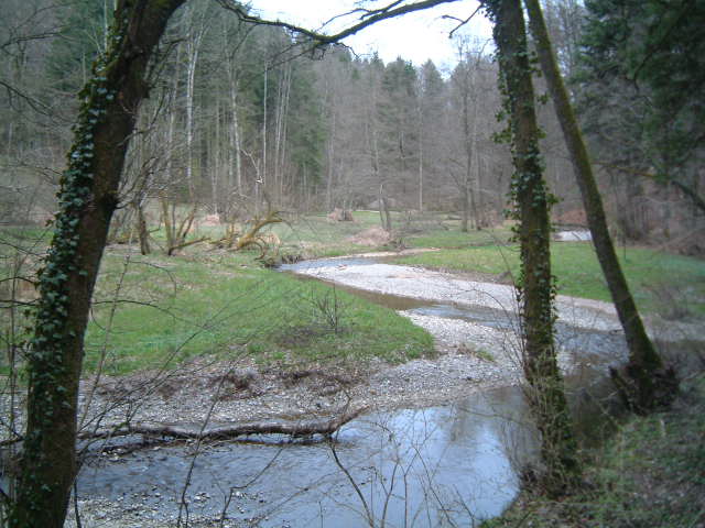 Flusszulauf
