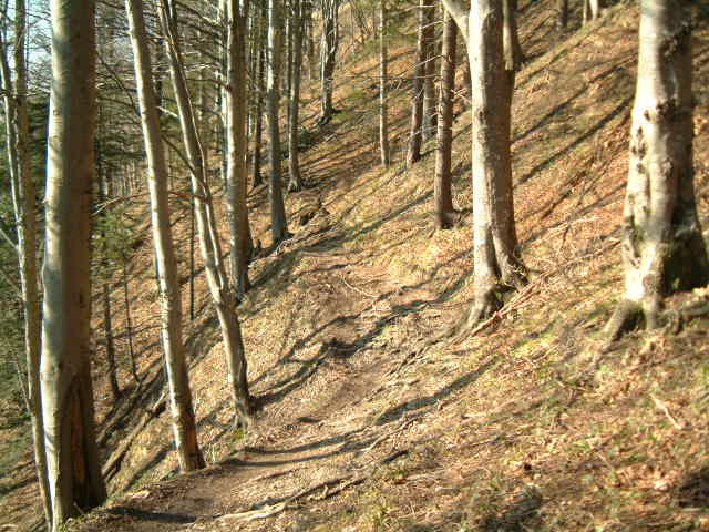 Höhenweg unterhalb Chlihörnli