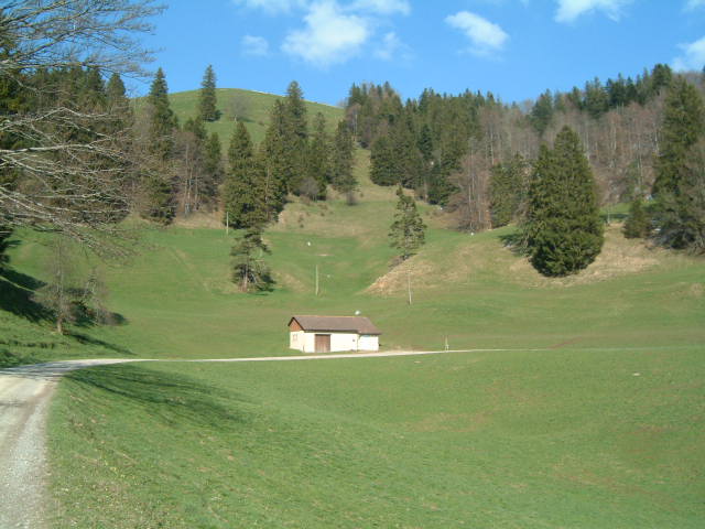 Strasse zum Hörnli