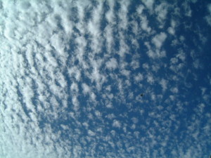 altocumulus